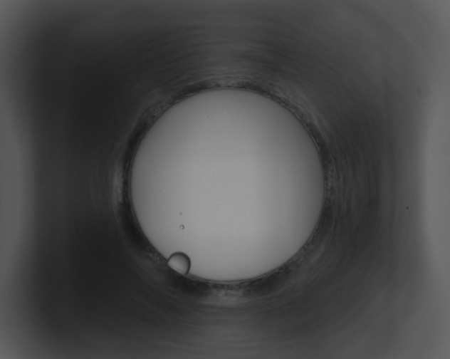 X0000100970694200806241204