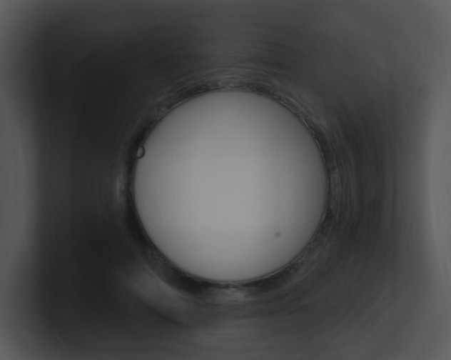 X0000100970698200806241204