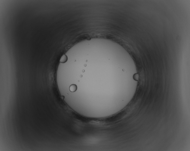 X0000100970699200806241204