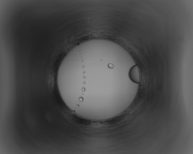 X0000100970703200806241204