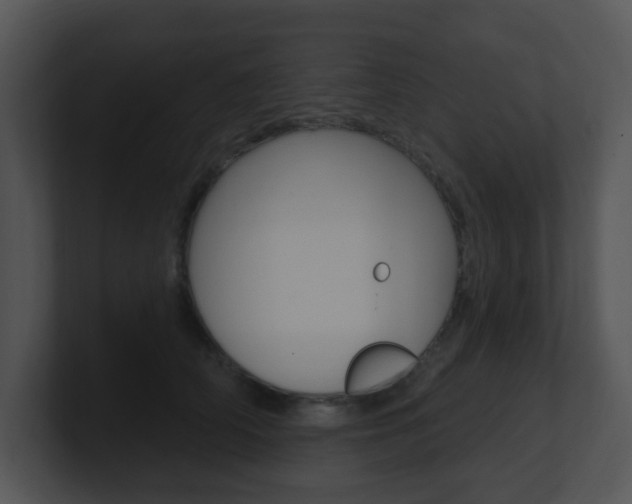 X0000100970706200806241204