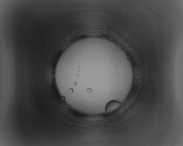 X0000100970707200806241204