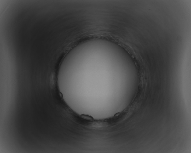X0000100970708200806241204