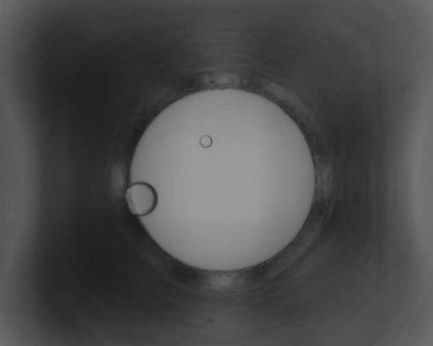 X0000100970709200806241204