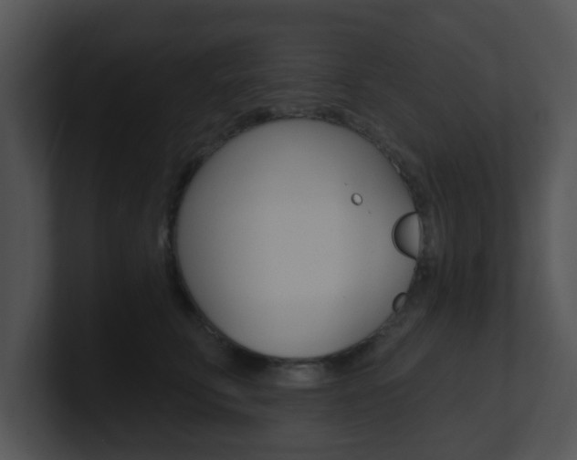 X0000100970711200806241204