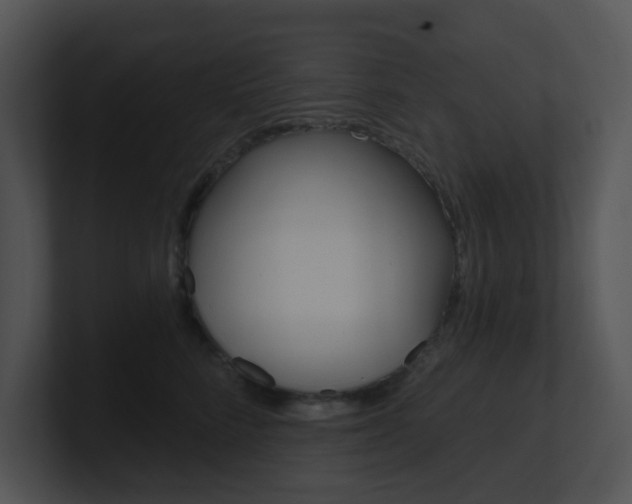 X0000100970712200806241204