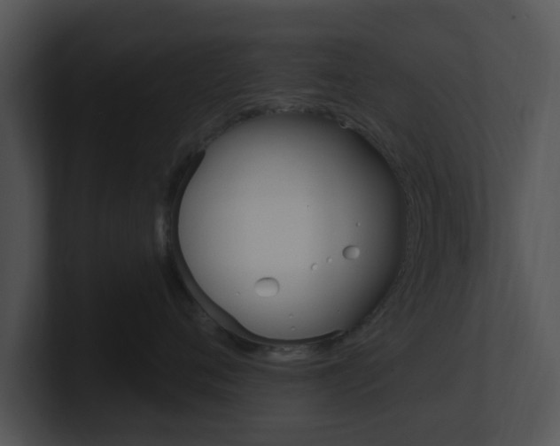 X0000100970720200806241204