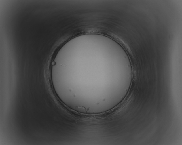 X0000100970721200806241203