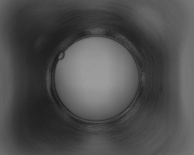 X0000100970725200806241203