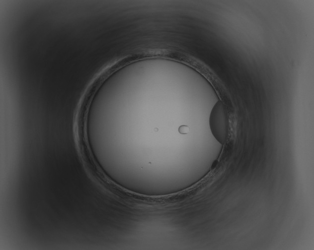 X0000100970726200806241203