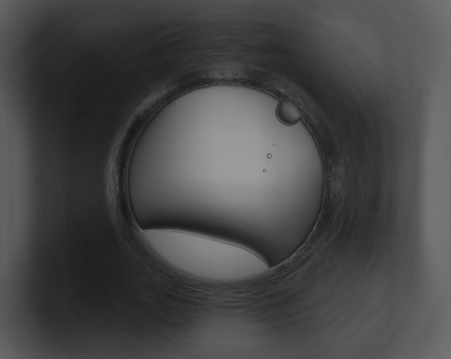 X0000100970727200806241203