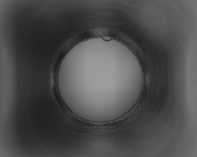 X0000100970733200806241203