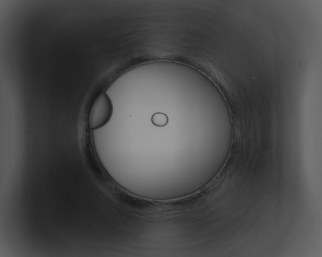 X0000100970736200806241203