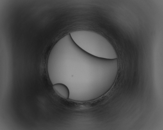 X0000100970737200806241203