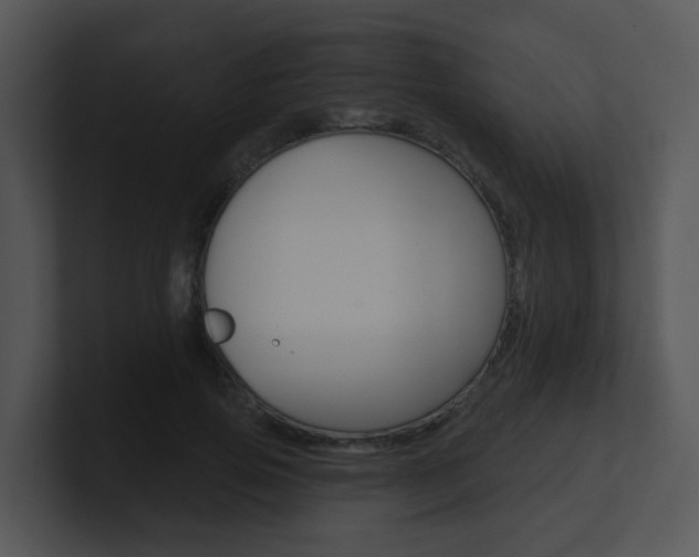 X0000100970741200806241204