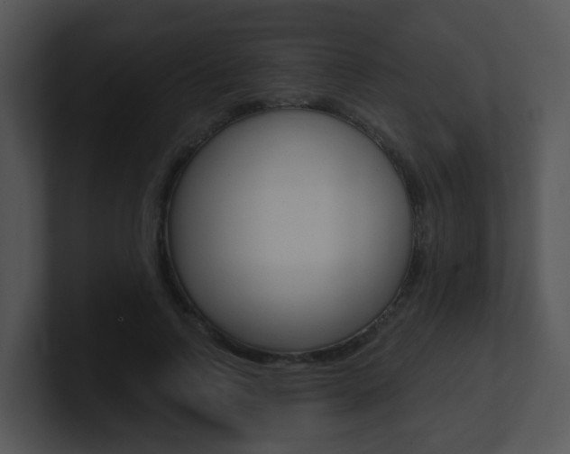 X0000100970742200806241204