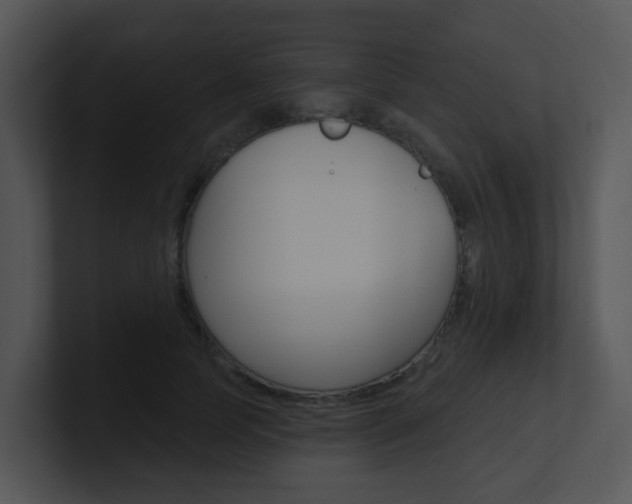 X0000100970745200806241204