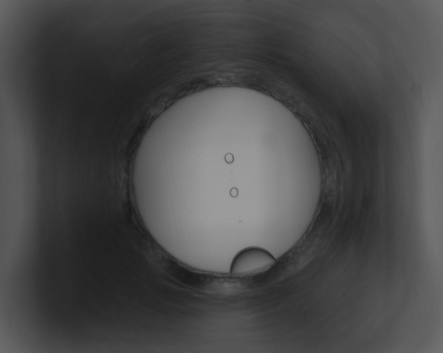 X0000100970749200806241204