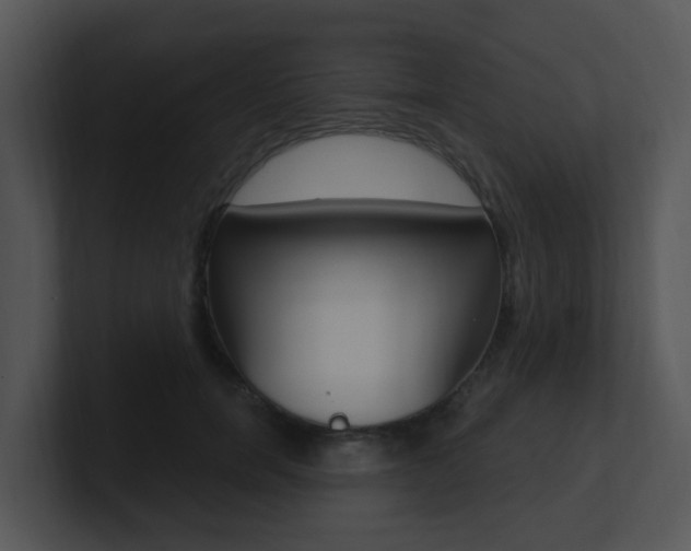 X0000100970750200806241204