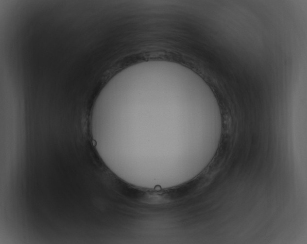 X0000100970753200806241204