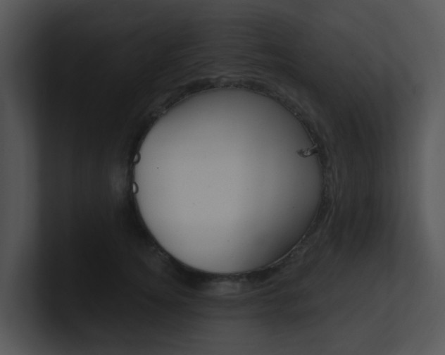 X0000100970756200806241204