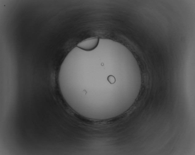 X0000100970757200806241204