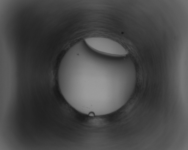 X0000100970759200806241204