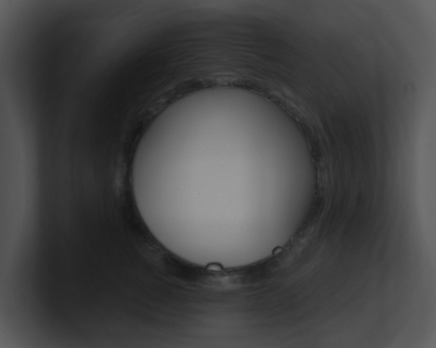 X0000100970760200806241204