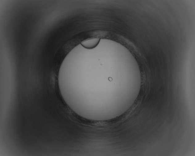 X0000100970761200806241204