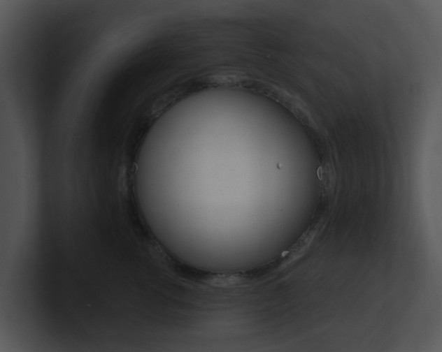 X0000100970762200806241204