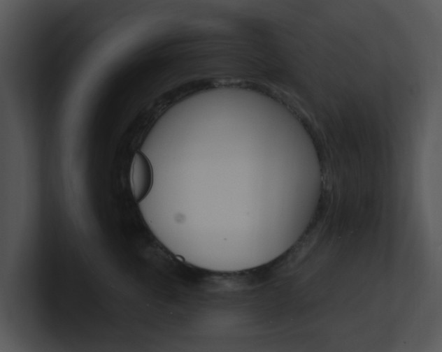 X0000100970763200806241204