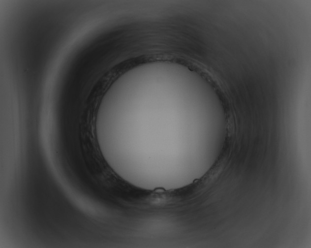 X0000100970764200806241204