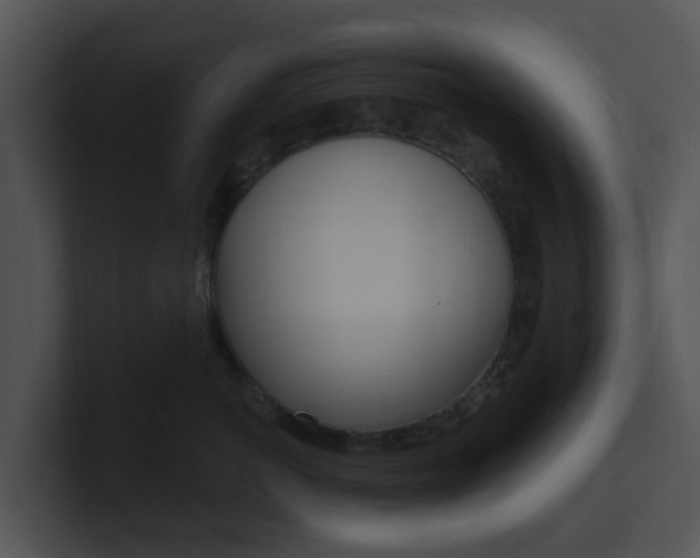 X0000100970766200806241204