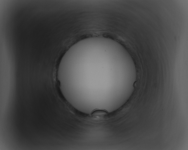 X0000100970768200806241204