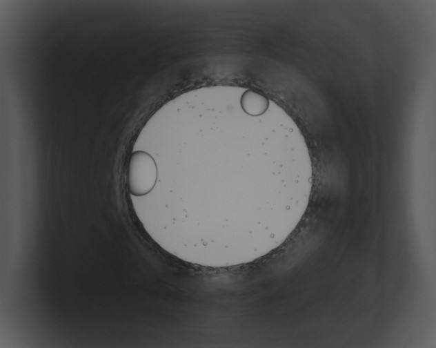 X0000100970769200806241203