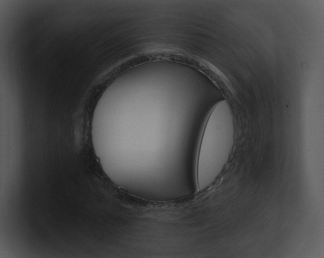 X0000100970775200806241203