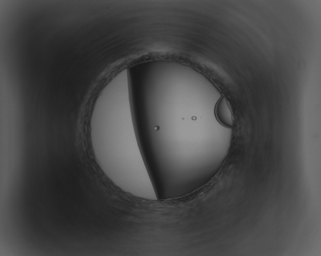 X0000100970776200806241203