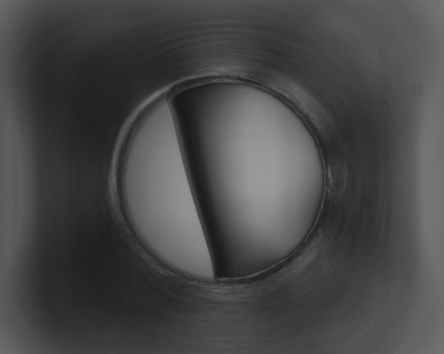X0000100970780200806241203