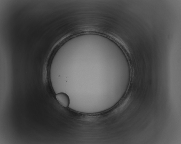 X0000100970782200806241203