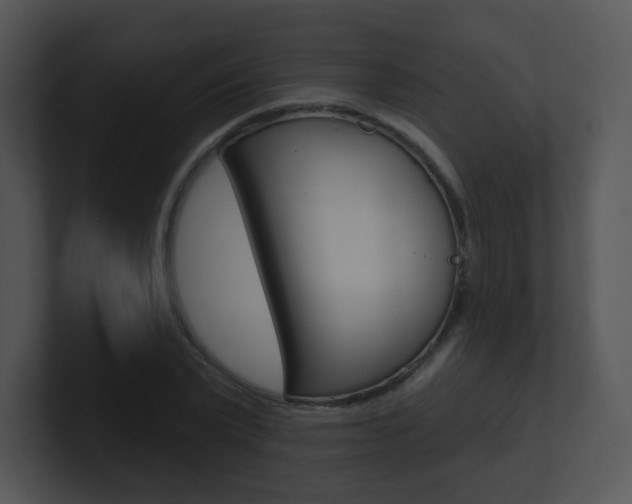 X0000100970783200806241203