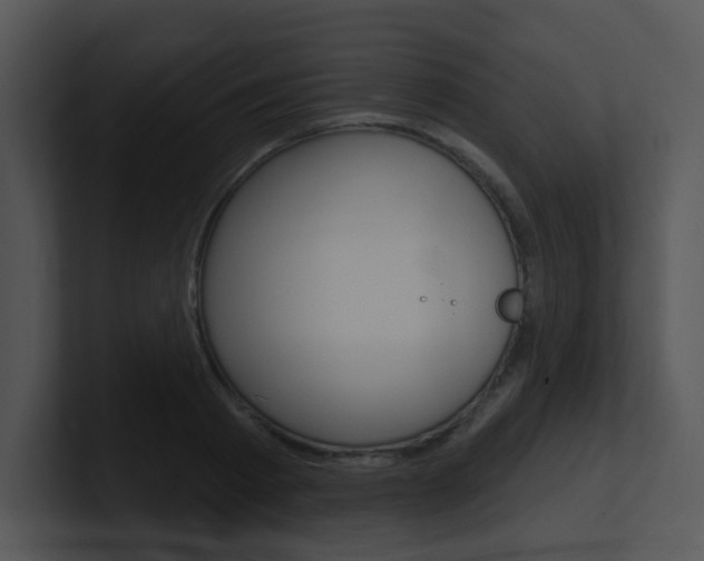 X0000100970793200806241203