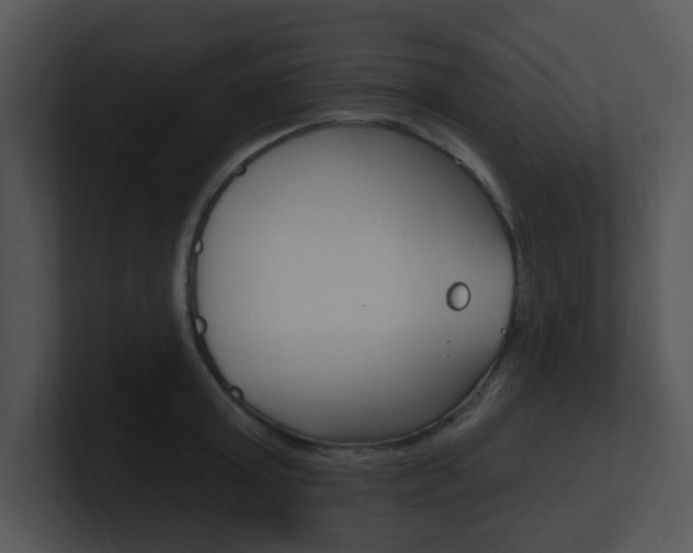 X0000100970803200806241203