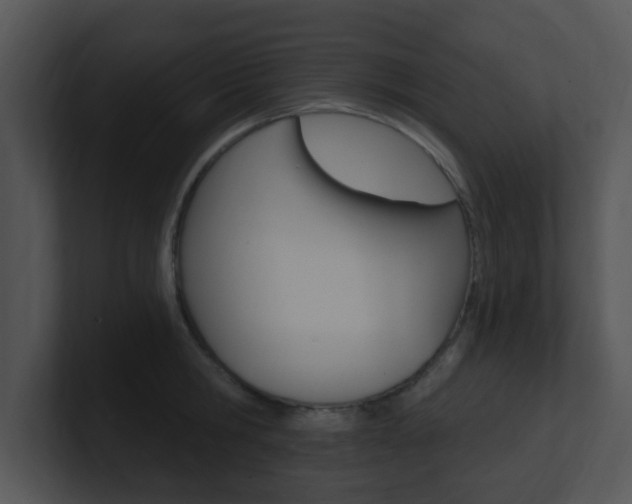 X0000100970806200806241203
