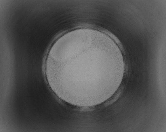 X0000100970807200806241203