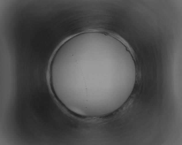 X0000100970811200806241203