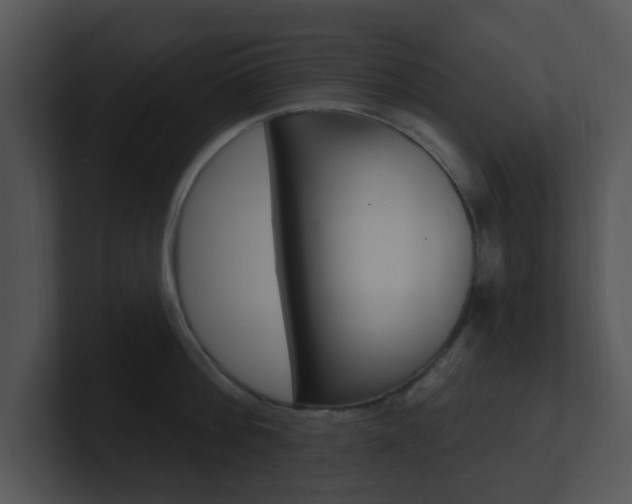 X0000100970812200806241203