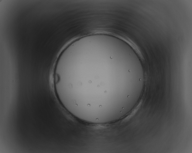 X0000100970814200806241203
