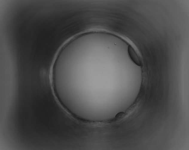 X0000100970815200806241203