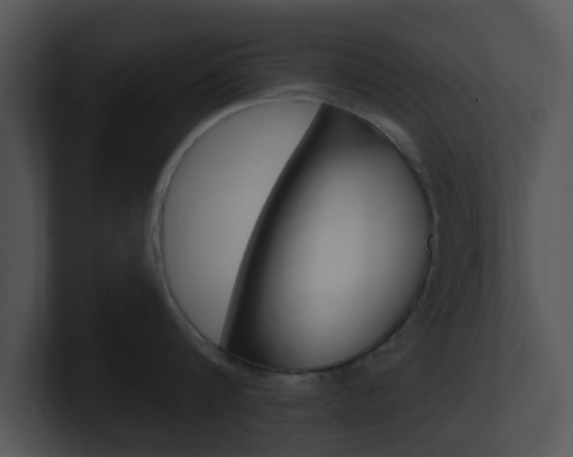 X0000100970816200806241203