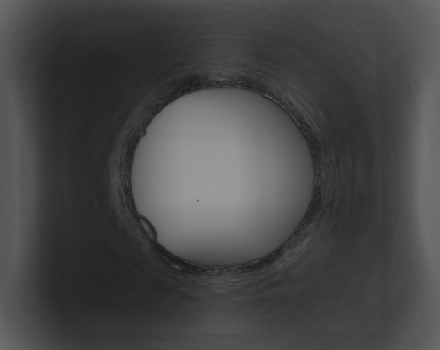 X0000100970817200806241202